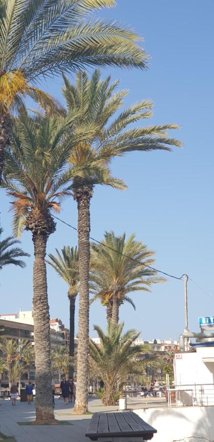 Costa Blanka Resident Apartman Torrevieja Esterno foto